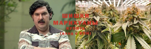 сатива Пестово