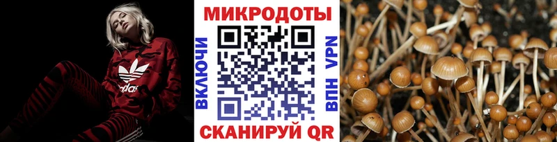 Псилоцибиновые грибы мухоморы  наркота  Порхов 