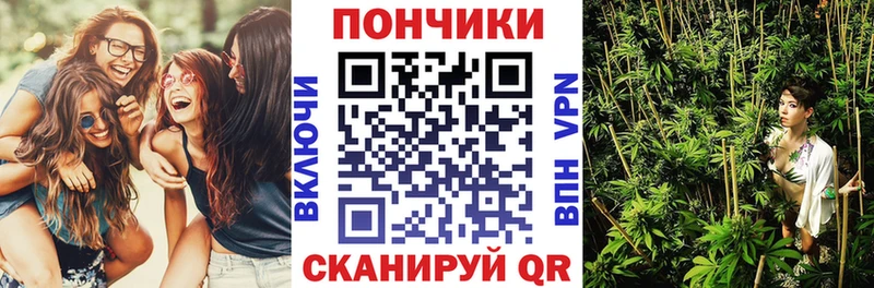 кракен ссылки  Порхов  Бошки Шишки SATIVA & INDICA 